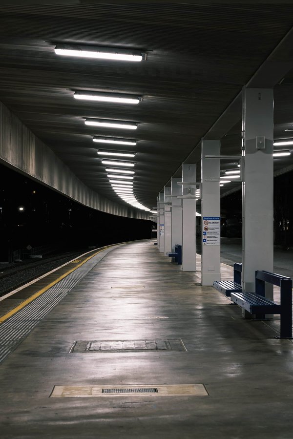 What Are the Best Online Platforms for Learning Programming Languages?